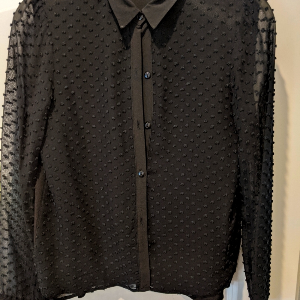 Amour Vert silk swiss dot shear blouse